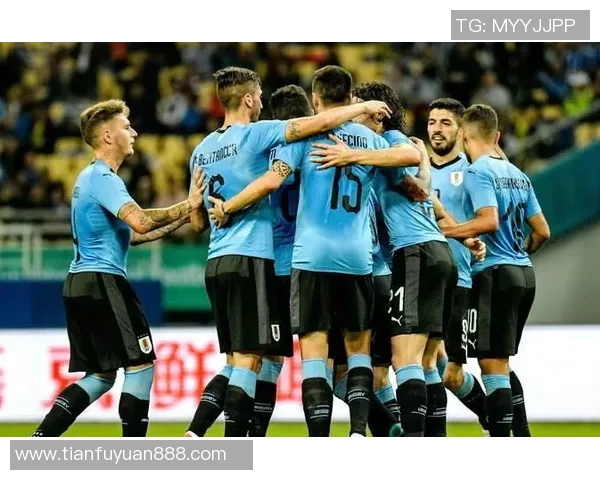 陵水足球明星最新阵容揭晓球员名单与表现分析一览